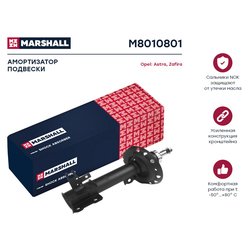 Marshall M8010801