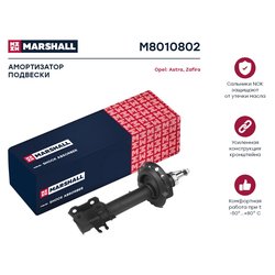 Marshall M8010802
