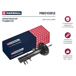 Marshall M8010812