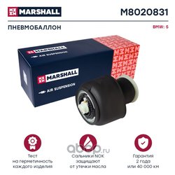 Marshall M8020831