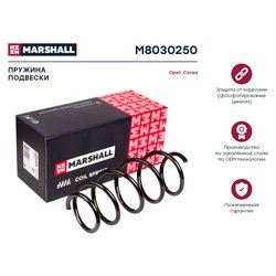 Marshall M8030250
