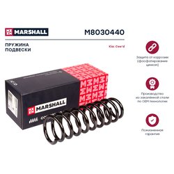 Marshall M8030440