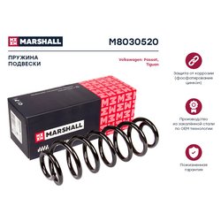 Marshall M8030520