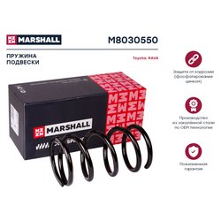 Marshall M8030550