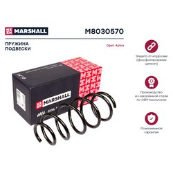 Marshall M8030570