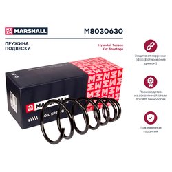 Marshall M8030630
