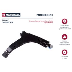 Marshall M8050061