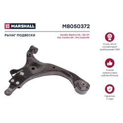 Marshall M8050372