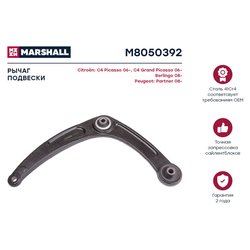 Marshall M8050392
