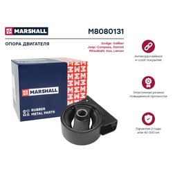Marshall M8080131