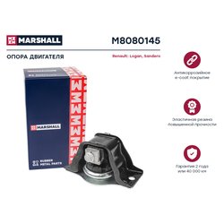 Marshall M8080145