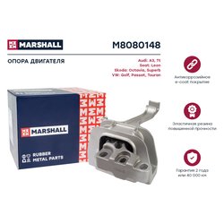 Marshall M8080148