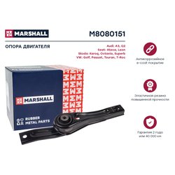 Marshall M8080151