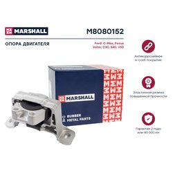 Marshall M8080152