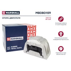 Marshall M8080159