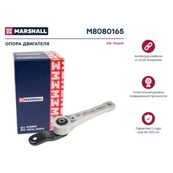 Marshall M8080165