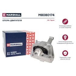 Marshall M8080174
