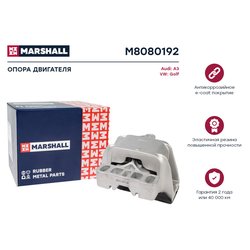 Marshall M8080192