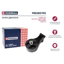 Marshall M8080195