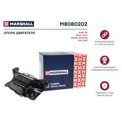 Marshall M8080202