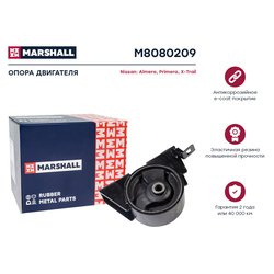 Marshall M8080209