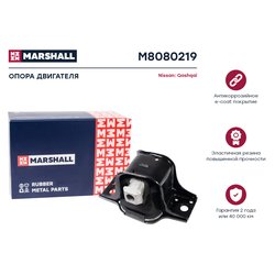 Marshall M8080219
