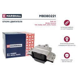 Marshall M8080221