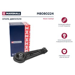 Marshall M8080224