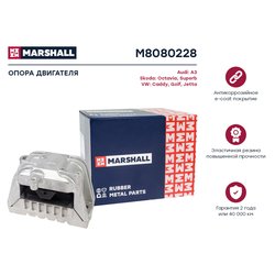 Marshall M8080228