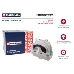 Marshall M8080232