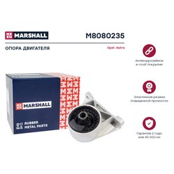 Marshall M8080235