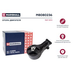 Marshall M8080236