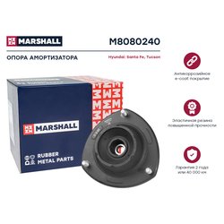Marshall M8080240