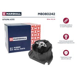 Marshall M8080242