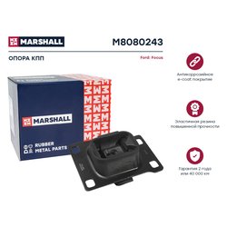 Marshall M8080243