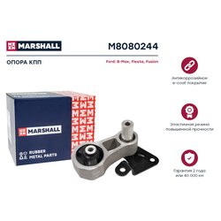 Marshall M8080244