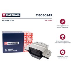 Marshall M8080249