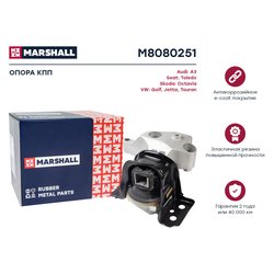 Marshall M8080251