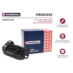 Marshall M8080253