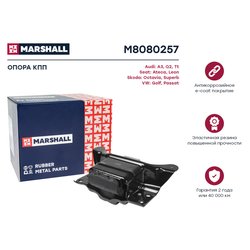 Marshall M8080257