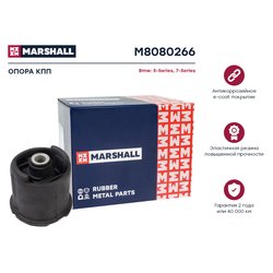 Marshall M8080266