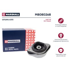 Marshall M8080268