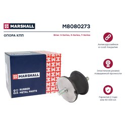 Marshall M8080273
