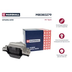 Marshall M8080279