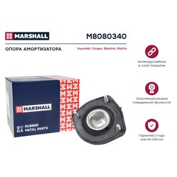 Marshall M8080340