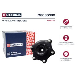 Marshall M8080380
