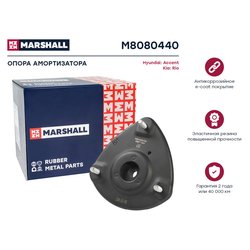 Marshall M8080440