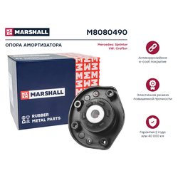 Marshall M8080490