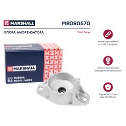 Marshall M8080570