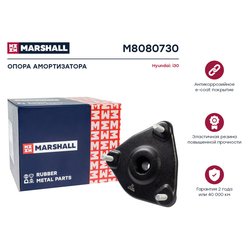 Marshall M8080730
